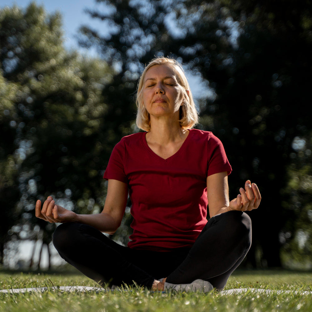 Meditation & Inner Practice